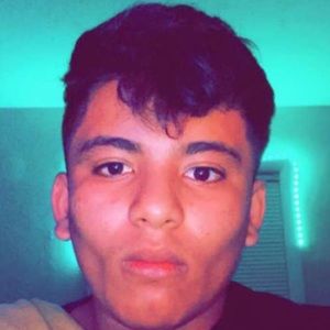 Meet your Posher, Darinel